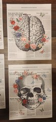 Floral Anatomy Canvas Wall Hangings 8×10 4pc Set Art Prints Home Decor New