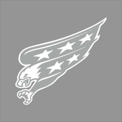Washington Capitals #5 NHL Team Logo 1 Color Vinyl Decal Sticker Car Window Wall