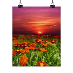 Sunset Poppy Field Poster | Matte Vertical Floral Wall Art