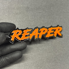 Custom Laser-Cut Acrylic Emblem Badge for Car – Multi-Color Personalized Name