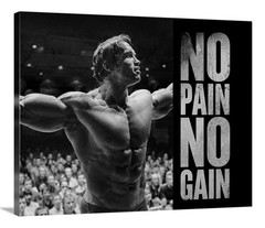 Arnold Schwarzenegger Canvas 16X20 Gym Wall Art Motivational Inspire Lift