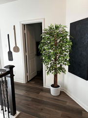 6Ft Faux Ficus Tree for Home Decor, Indoor/Outdoor Silk Plant