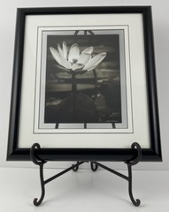 Tangletown Lotus Flower VIII By Debra Van Swearingen Framed Print Wall Art