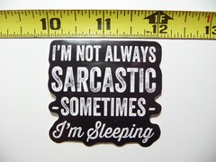 NOT ALWAYS SOMETIMES I’M SLEEPING SMALL STICKER DECAL FUNNY SARCASM SAYING