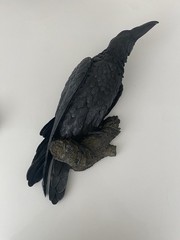 The Raven’s Perch Gothic Wall Sculpture Gothic Wall Art Edgar Allen Poe Decor