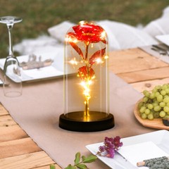 LED Rose Light Glass Gifts for Wife Women Mom Her Christmas Girlfriend Birthday