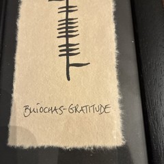 Authentic Irish Ogham Wishes Framed Wall Art “Gratitude” Buiochas 11”x6” Ireland