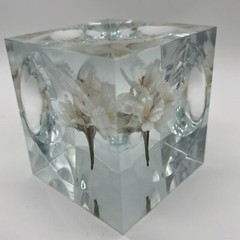 Crystal Clear Lucite Acrylic Large 3 3/4in» Sola Cube Cherry Blossom Flowers