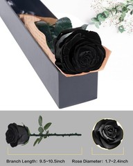 Black Preserved Roses for Delivery – Single Flower Gifts for Her