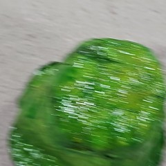 Cabbage Fruit Veggies Paper Mache Mexico Faux Food Summer Decor