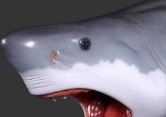 Shark Great White Head Wall Mount Decor Ocean Prop Resin Statue Marine Theme