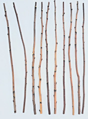 4ft. Birch Pole Assortment, 4 pc. for Wood Craft, Macrame, Rustic Curtain Rods