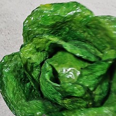 Cabbage Fruit Veggies Paper Mache Mexico Faux Food Summer Decor