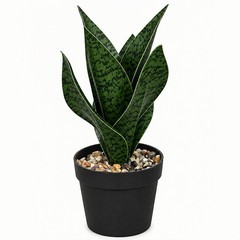 1 PCS Dark Green Artificial Snake Plant Faux Sansevieria Pot Decor 9.8 Inch