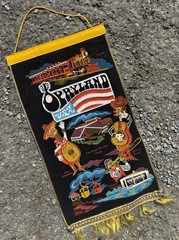 Vintage Opryland USA Velvet Tapestry Cool And Rare 9×17 In Pennant Music City