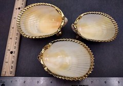 Gold-Plated Single Footed Shell Dish (1 Shell approx. 3-4 inches)