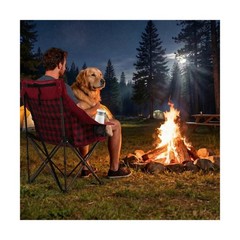 SUNNYFEEL 2 Pack Heavy Duty Camping Chairs for Adults Portable Oversized Fold…