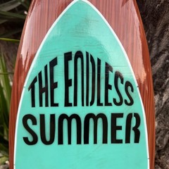 The Endless Summer Surf Documentary, Surfboard Wall Plaque, Handcrafted Airbrush
