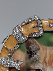 Beige Yellow Free Standing Round Collar Pet Picture Frame Enamel Cat Rhinestone