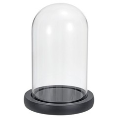 9.8″x3.9″ Clear Cloche Glass Dome Glass Bell Jar Display with Wooden Base