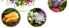 Summer Spring Wreaths for Front Door 26 Inch, Tulip Spring Summer Wreath with