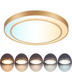 2Pack 20″ LED Flush Mount Ceiling Light Fixture Gold, 36W Dimmable Light Fixt…
