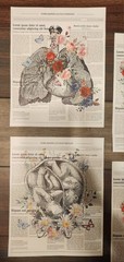 Floral Anatomy Canvas Wall Hangings 8×10 4pc Set Art Prints Home Decor New