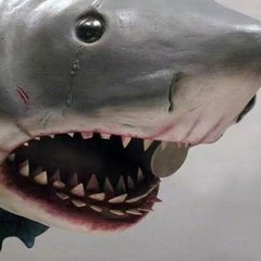 Resin Shark Head Wall Sculpture Decoration Scary Shark Head Ornament for Wall