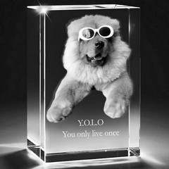 3D Small Rectangle Crystal – Personalised Laser Engraved Photo Gift