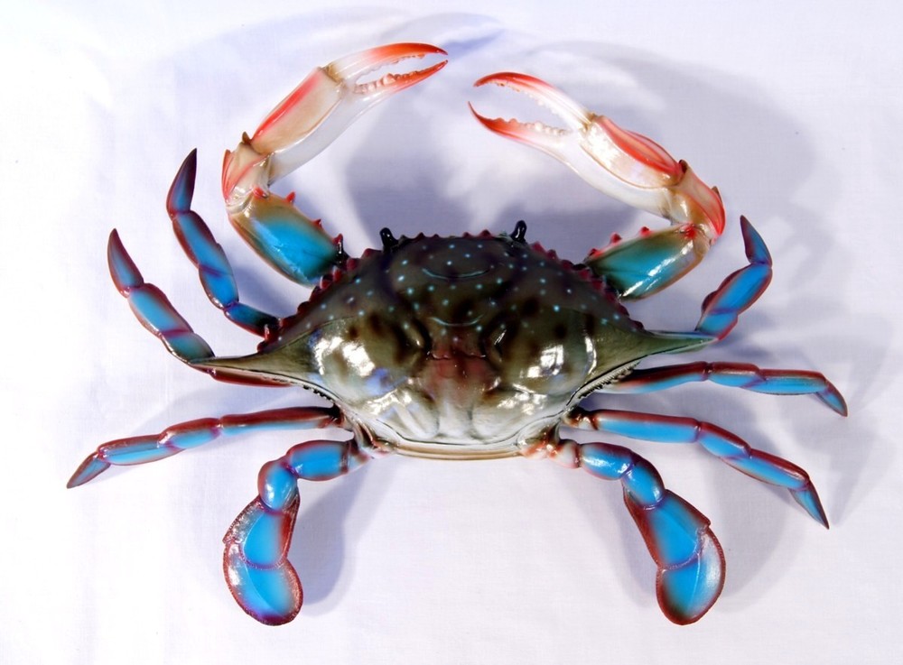 6 inch Maryland Blue Crab Beach Tiki Bar Wall Mount Decor Sculpture 90BF