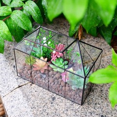 Glass Terrarium Planter for Succulents – 9.8″ x 7.9″ x 5.9″ Greenhouse with Lid