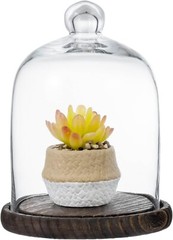 Tabletop Clear Glass Cloche Bell Jar Display Case w/ Brown Wood Base, Bell Jar