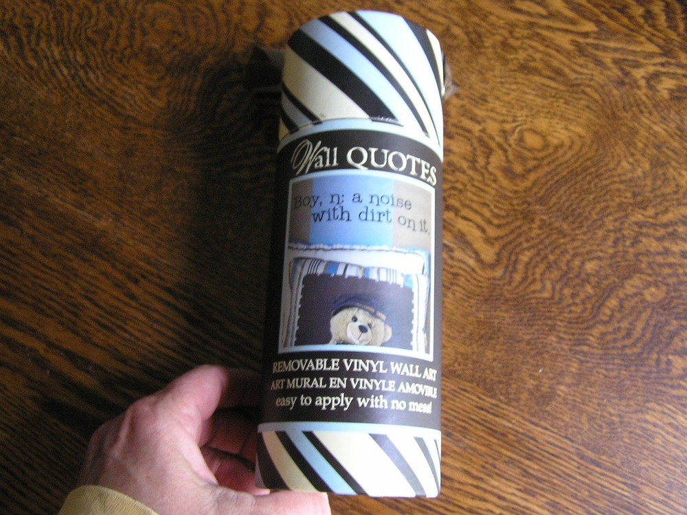 DCWV Home Removable Vinyl Wall Art «BOY, N: A NOISE WITH DIRT ON IT.» Black~NIP!