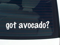 got avocado? CAR DECAL BUMPER STICKER VINYL FUNNY JOKE WINDOW