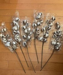 Cotton Stems Natural Dried Cotton Flower 6 Packs Total 60 Bolls Cotton Sprig