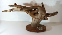 22” MOUNTED DRIFTWOOD Unfinished Natural Plant Art Decor Craft – Very Large