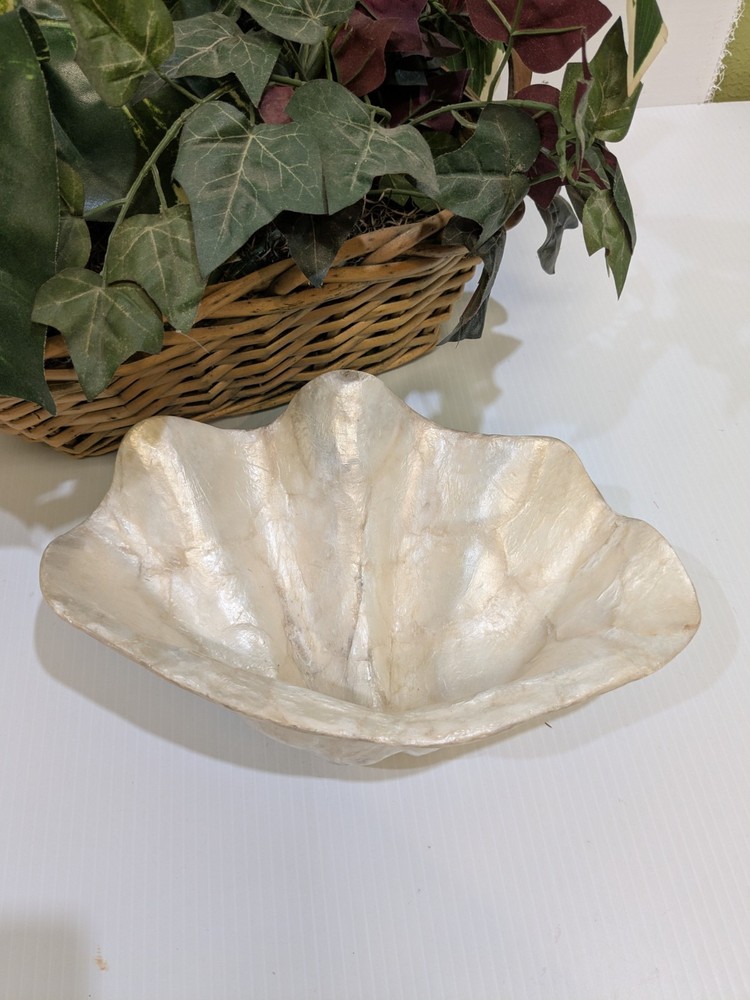 Capiz Shell Clam Sea Shell Shape Large Bowl 12″X6. 5″