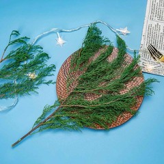 4OZ Preserved Real Pine Leaves Branches -17» Natural Greenery Plants Twigs S…