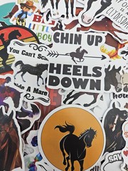 50 pcs Horse Stickers Equestrian Sport Decals DIY Crafting