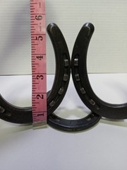 Nordic Forge Custom Made Picture Frame Real Horse Shoes & Nails Western Country