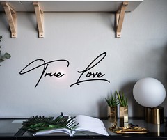 Wall Decal True Love Romantic Bedroom Interior Vinyl Decor Black gz562