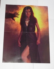 The Howling Poster 1981 Joe Dante Horror Movie Elisabeth Brooks Netflix Reboot C