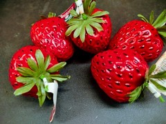 🍓 5 Pieces: Hard Plastic Jumbo Strawberry Fruit 3″ Tall 2″ Wide Strawberries 🍓
