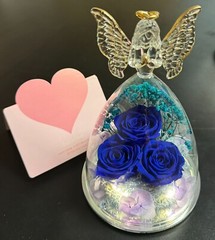 Mothers Day Mom Gift for her, Preserved Real Flower Rose in Large Glass Angel…