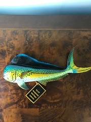 12” Tropical Reef Mahi Mahi Dolphin Fish Wall Art Plastic – Handpainted NEW