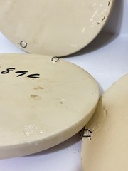 Vtg 4pc Set Round Florentine Art Co Chalkware Fruit Wall Plaques Kitchen Decor