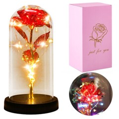 Eternal Muti-color Rose Glass in Dome LED Forever Flower Valentine Gift For Her
