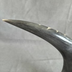 Eagle Carving Water Buffalo Horn Wood Base From KC Gifts in Canada