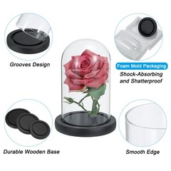 9.8″x3.9″ Clear Cloche Glass Dome Glass Bell Jar Display with Wooden Base