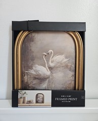 Loving Swans Wall Decor Framed Print Wall Art